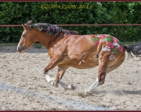 1-13JUIN 0916